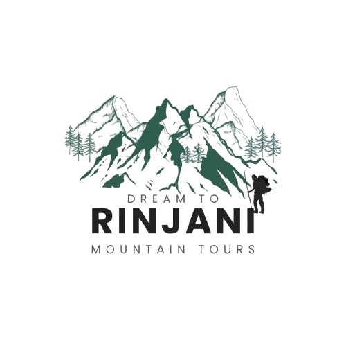 Dream to Rinjani logo