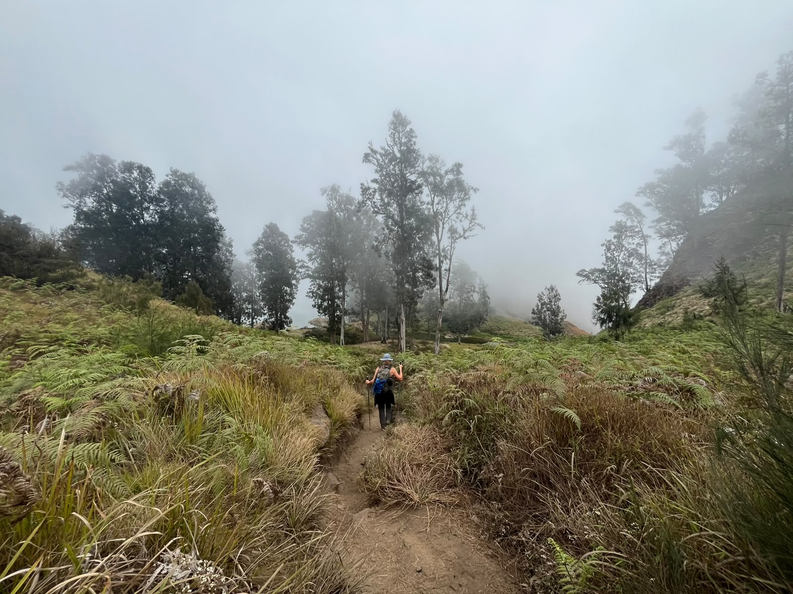 3D2N Rinjani Sharing Package